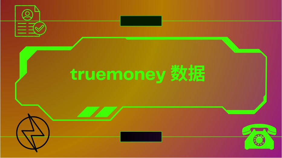 TrueMoney 数据