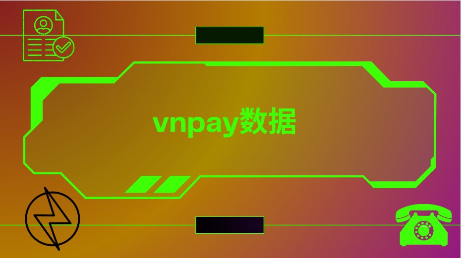 VNPay数据